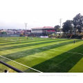 Artificial Fake Turf Grass Prices List /Football Turf/Grass for Soccer /Football Field